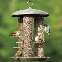 Bird Feeders